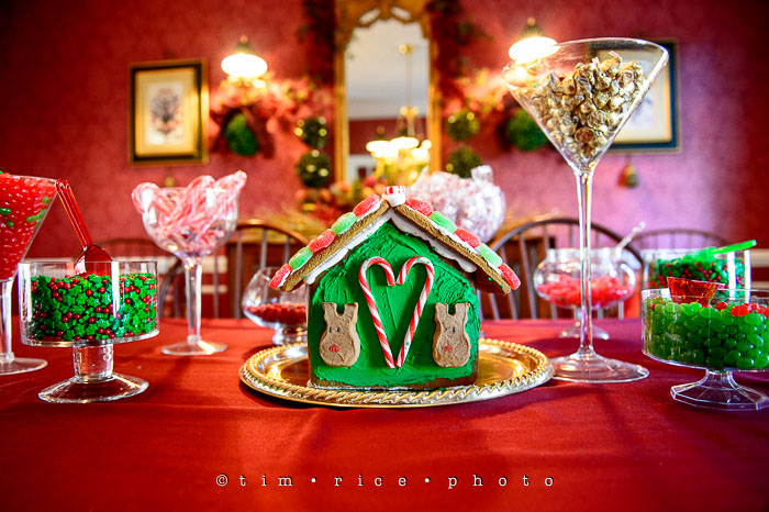 Yr7•084/365•2273 The Christmas House December 22, 2015