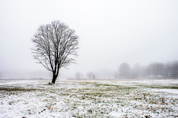 Yr7•087-365•2278•The Favs