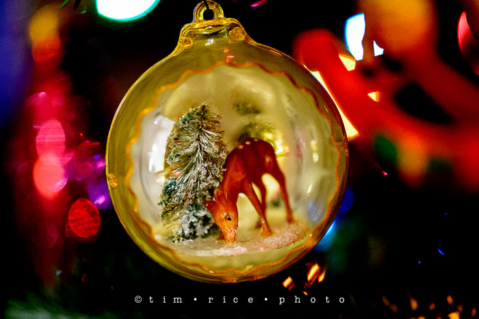 Yr7•088-365•2277•Christmas
