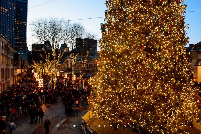 Yr7•090-365•2271•The Hosts