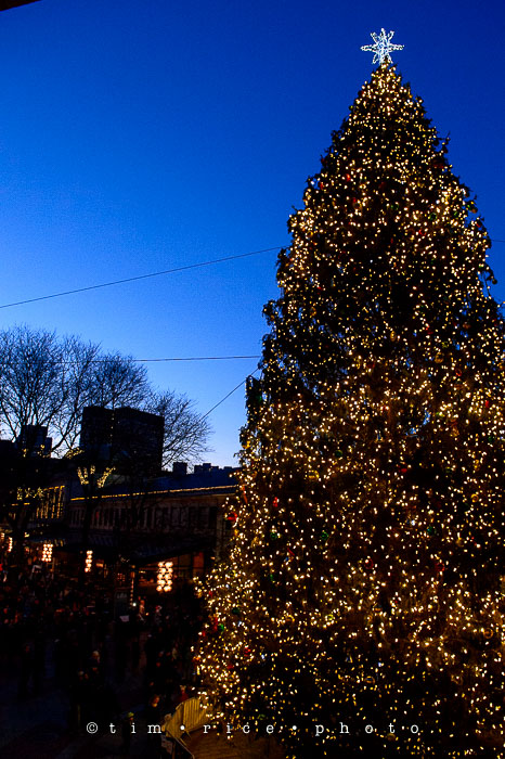 Yr7•091-365•2271•The Hosts