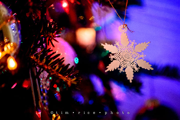 Yr7•091-365•2277•Christmas