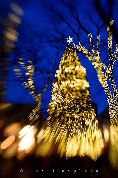 Yr7•094-365•2271•The Hosts