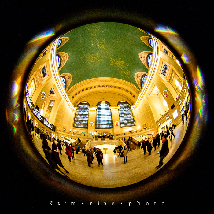 Yr7•095-365•2281•Grand Central Information