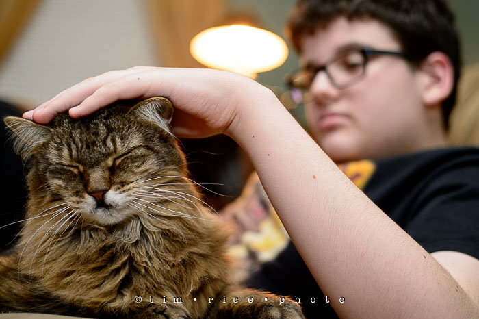 Yr7•109-365•2278•The Favs