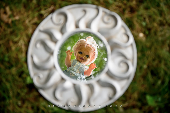 Yr7•233-365•2278•The Favs