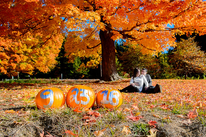 Yr7•266-365•2278•The Favs