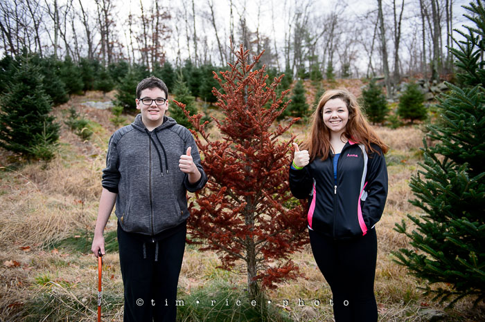 Yr7•290-365•2278•The Favs