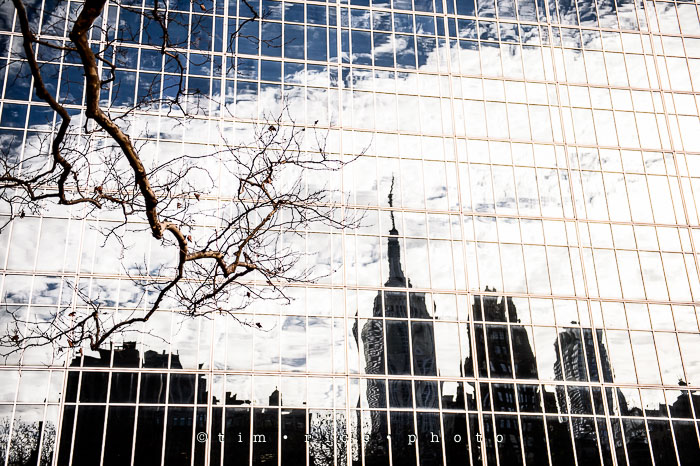 Yr7•318-365•2278•The Favs