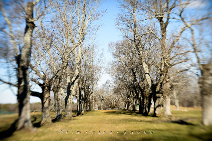 Yr7•095/366•2286 Somewhere Sunday January 3, 2015