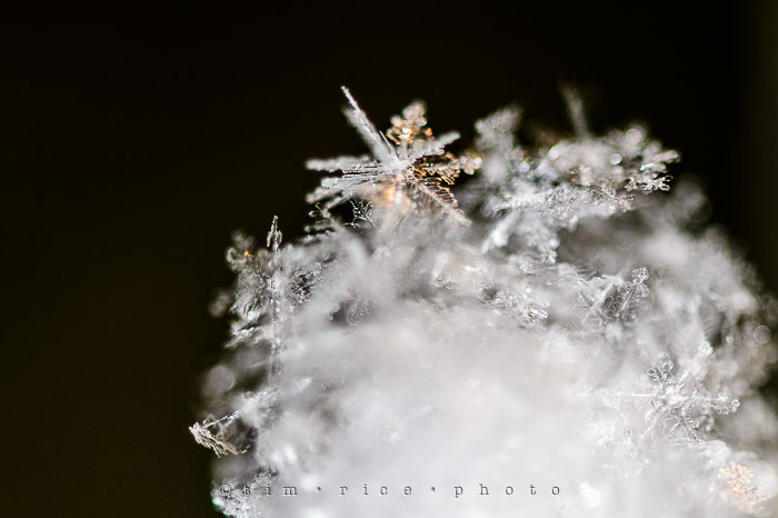 Yr7•110-366•2301•Flakes