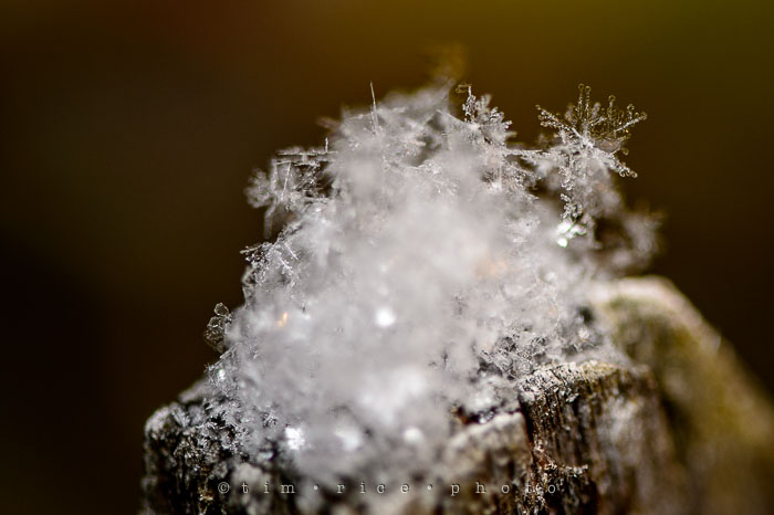 Yr7•111-366•2301•Flakes