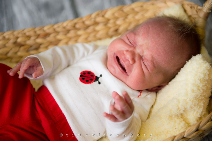 Yr7•112-366•2302•Pasta with Sausage