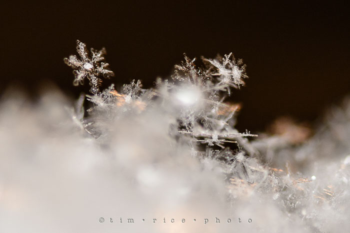 Yr7•113-366•2301•Flakes