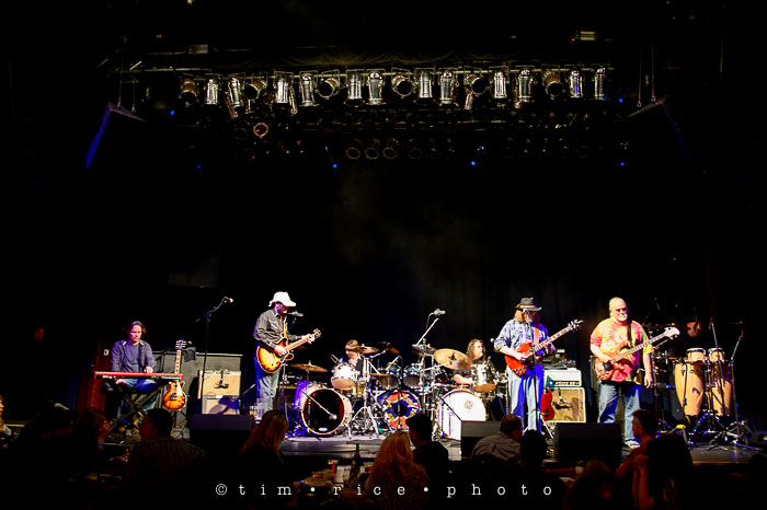 Yr7•114-366•2298•The Peacheaters