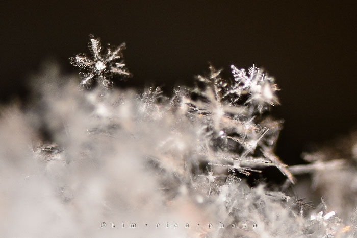 Yr7•114-366•2301•Flakes