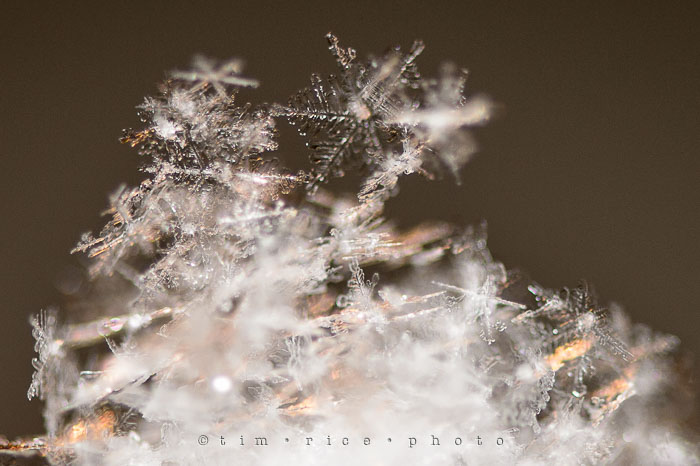 Yr7•115-366•2301•Flakes