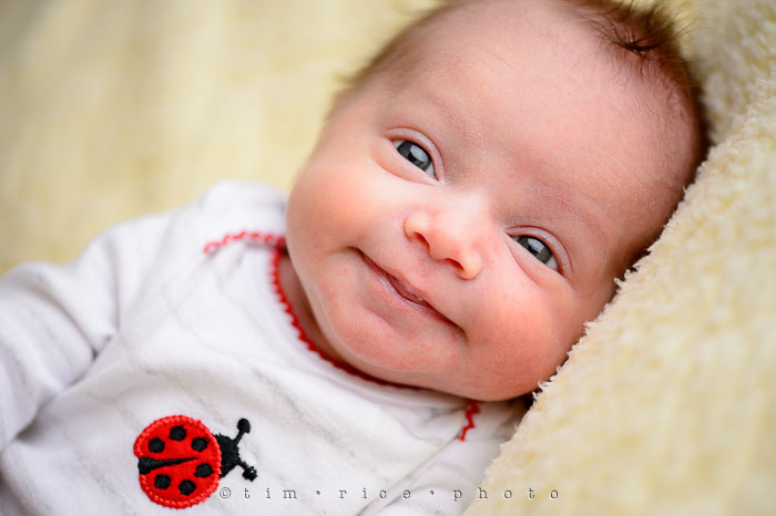 Yr7•115/366•2306 Isabella's Debut January 23, 2016