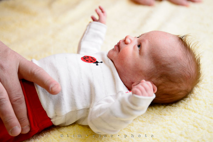 Yr7•116-366•2302•Pasta with Sausage