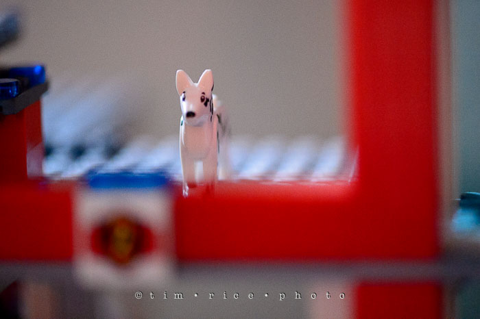 Yr7•123-366•2313•Lego Finn