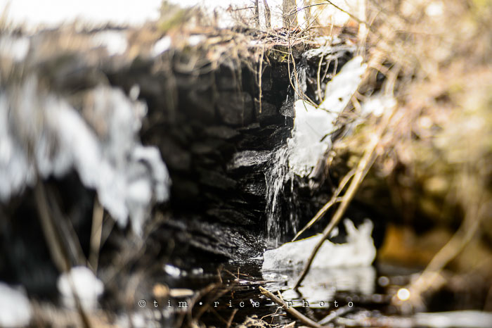 Yr7•123-366•2314•Running Thaw