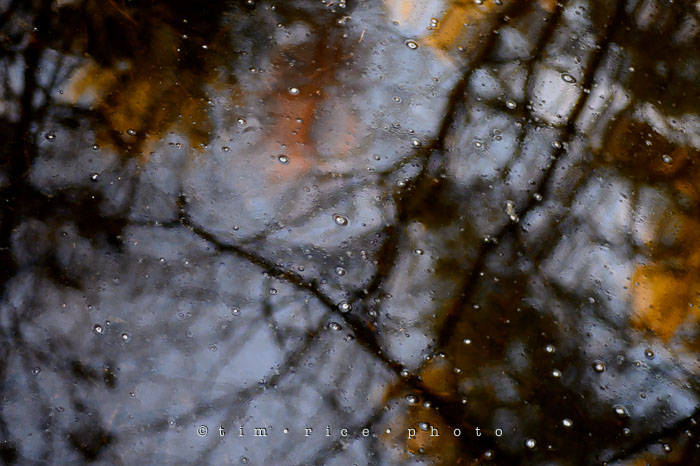 Yr7•124-366•2314•Running Thaw