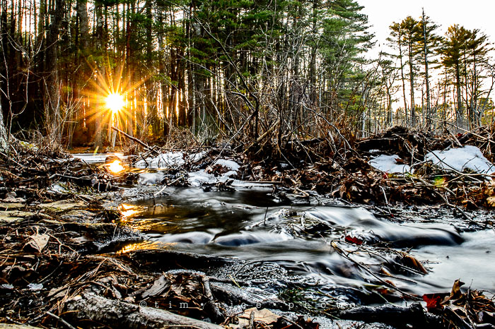 Yr7•125-366•2314•Running Thaw