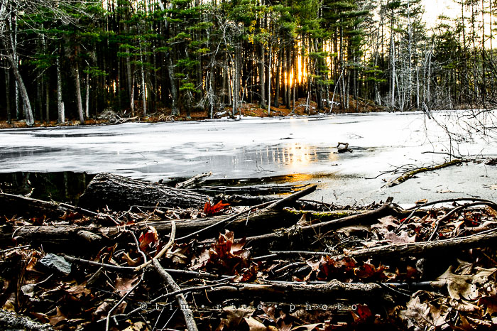 Yr7•128-366•2314•Running Thaw