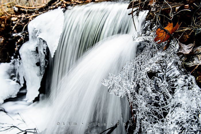 Yr7•129-366•2314•Running Thaw