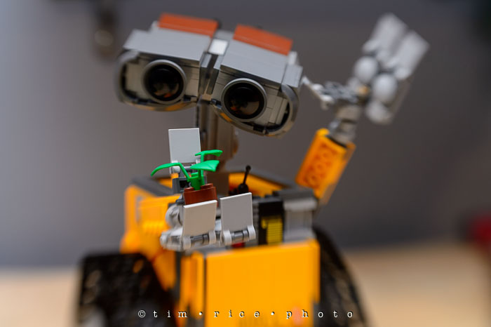 Yr7•125-366•2316•Wall•e