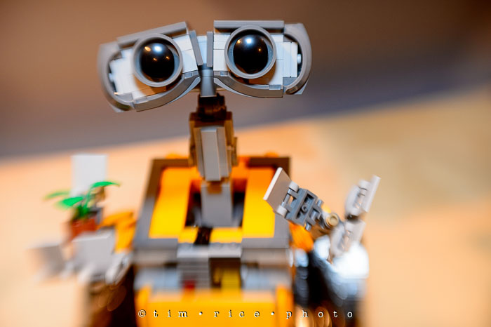 Yr7•125/366•2316 WALL•E February 2, 2016