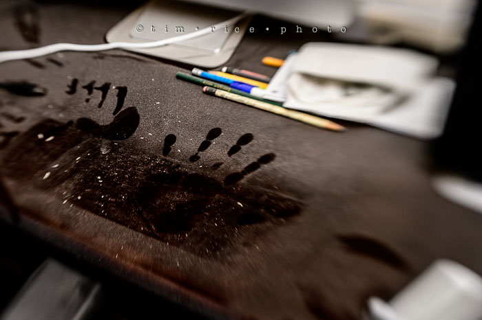 Yr7•127/366•2318 Dusty February 4, 2016