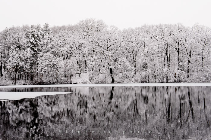 Yr7•131-366•2319•Choate's Winter Light