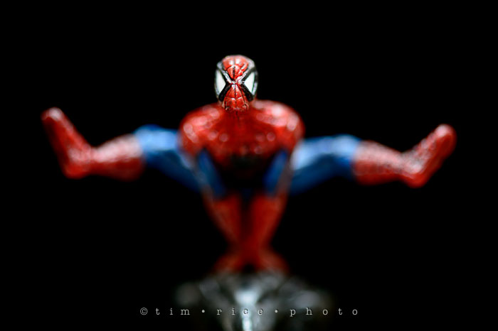 Yr7•134-366•2324•Spider v. Bat