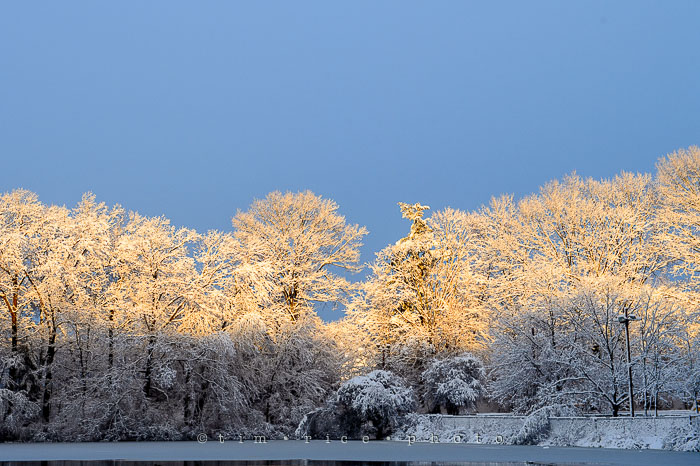 Yr7•136-366•2319•Choate's Winter Light