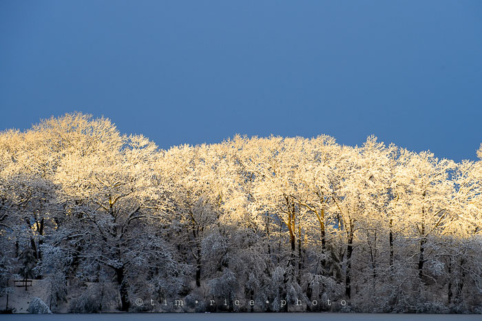 Yr7•138-366•2319•Choate's Winter Light