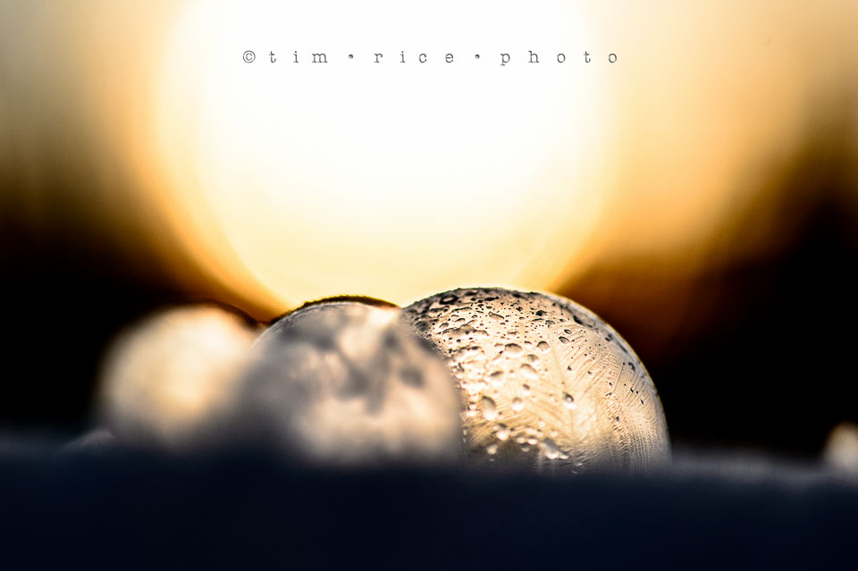 Yr7•138-366•2329•Frozen in Morning LIght