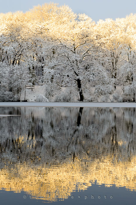 Yr7•140-366•2319•Choate's Winter Light