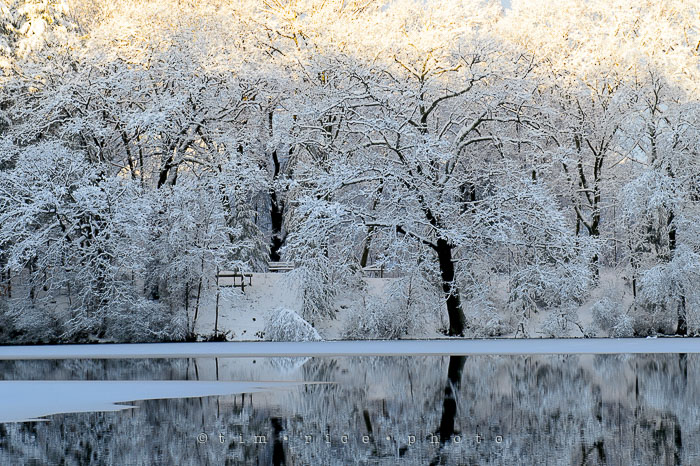 Yr7•141-366•2319•Choate's Winter Light