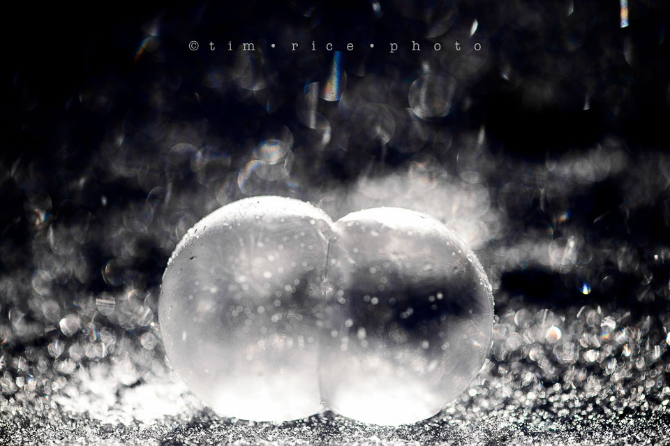 Yr7•141-366•2329•Frozen in Morning LIght