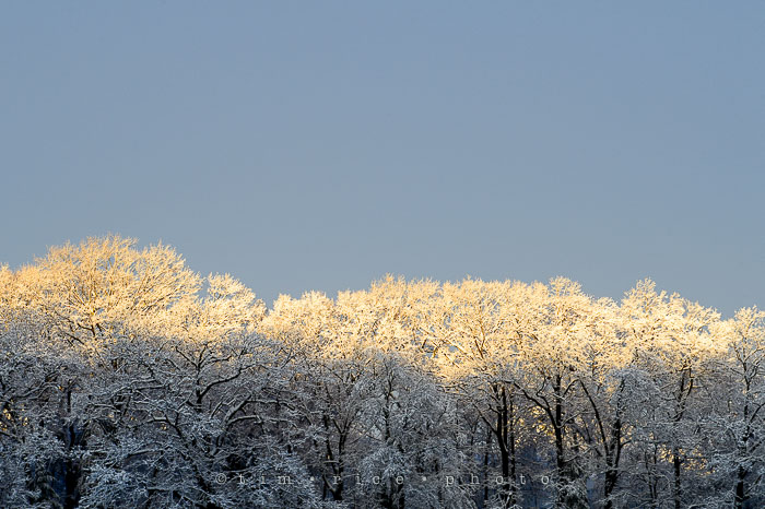 Yr7•142-366•2319•Choate's Winter Light