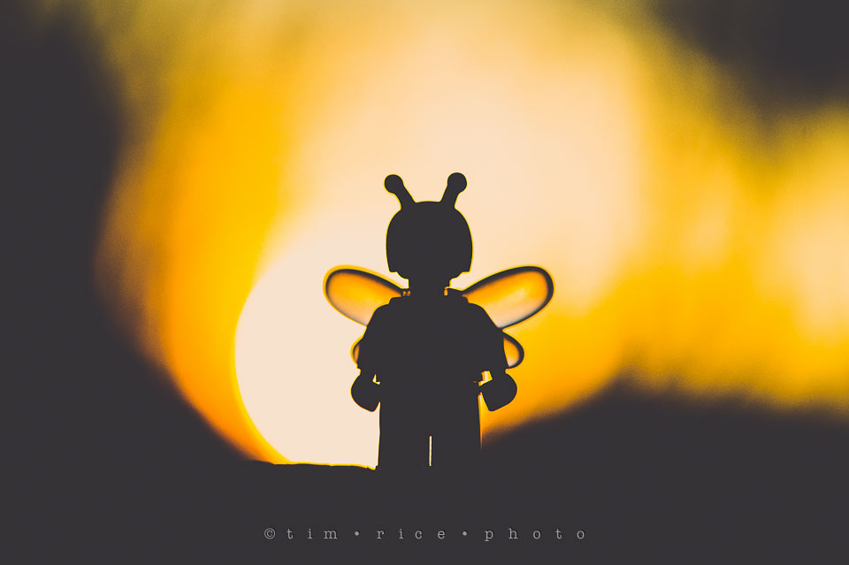 Yr7•159-366•2350•Bee Happy