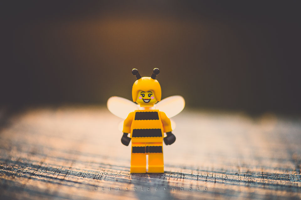 Yr7•159-366•2350•Bee Happy