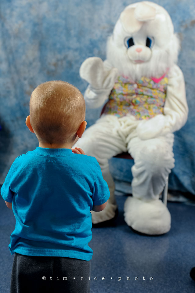 Yr7•173-366•2364•Visit the Bunny