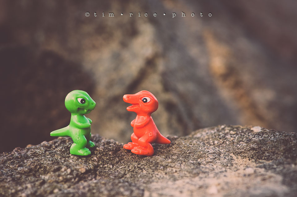 Yr7•182-366•2373•The Dino Meeting