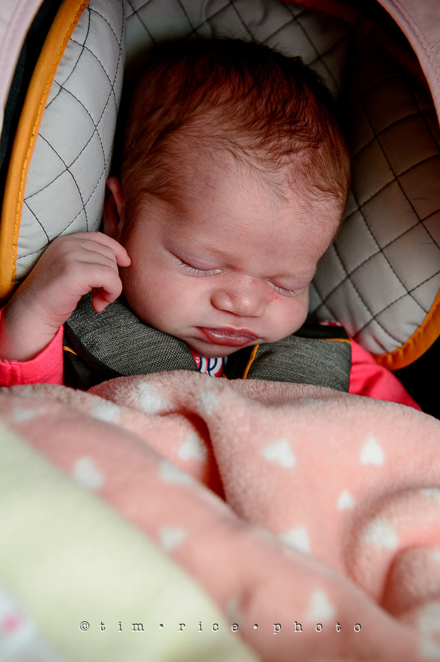 Yr7•179-366•2370•Easter Flowers-11