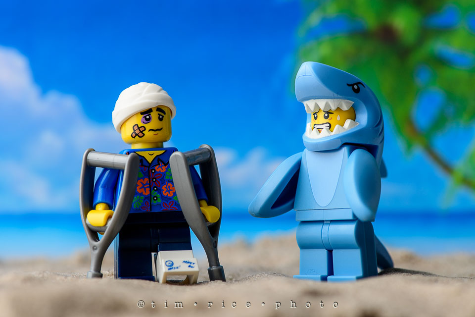 Yr7•196-366•2387•Shark Attack