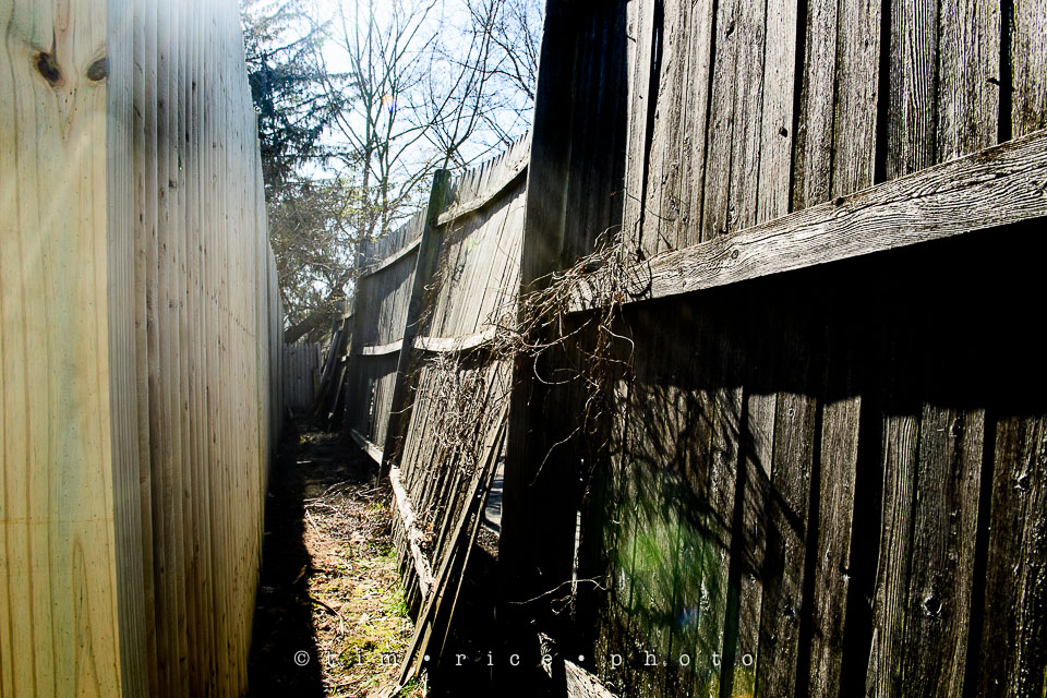 Yr7•198-366•2389•Unvieling Fence