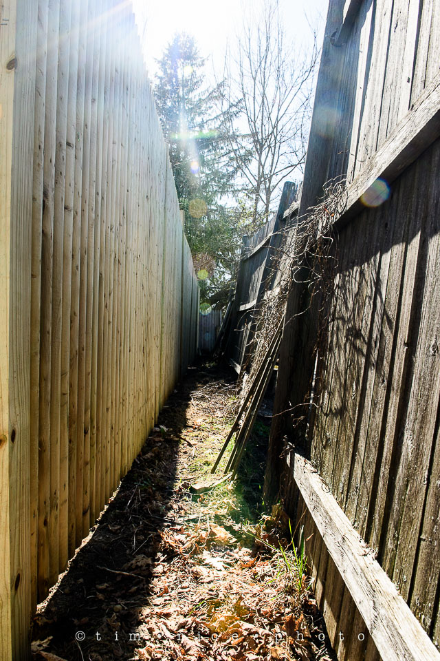 Yr7•198-366•2389•Unvieling Fence