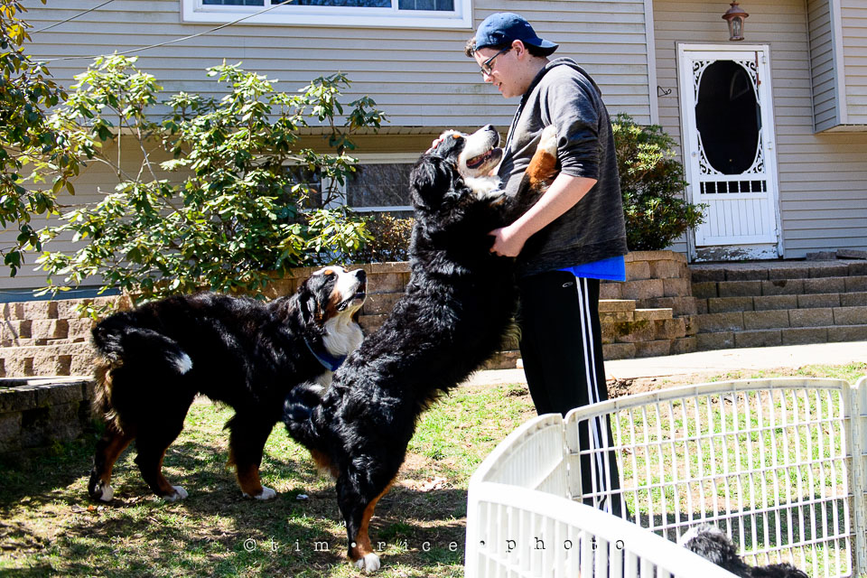 Yr7•200-366•2391•Josephina Smalls the Great